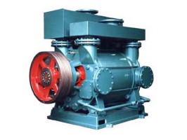 2BE系列水環真空泵